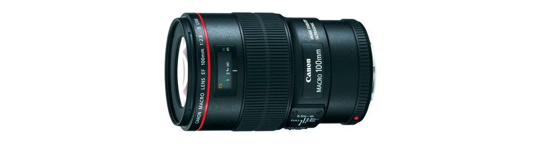 The History Of Canon's L-Series Lenses - Canon Georgia The History Of Canon's L-Series Lenses - Canon Georgia
